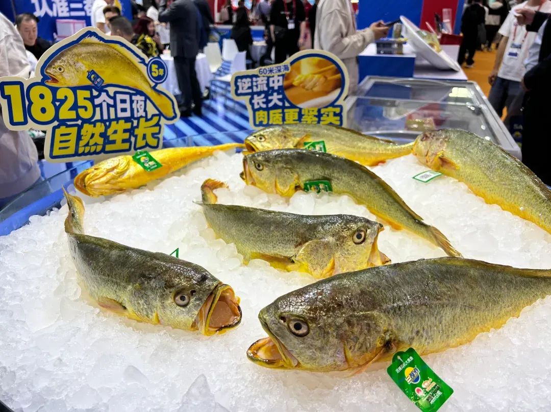 “漁”你有約，齊聚青島！水產(chǎn)行業(yè)的年度盛事